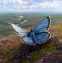 Agata Buczek, Slightly, Oil painting - canvas, 100 x 100