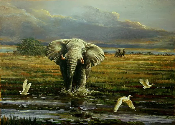 Michał Nowakowski - Lepiej nie podchodź zbyt blisko