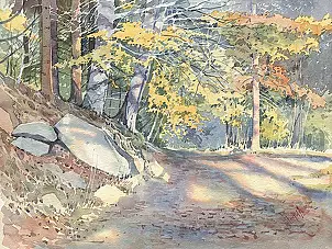   - Forest road, evening