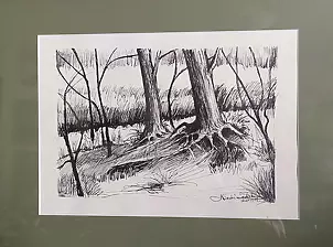 Ryszard Niedźwiedzki - Forest impression 2