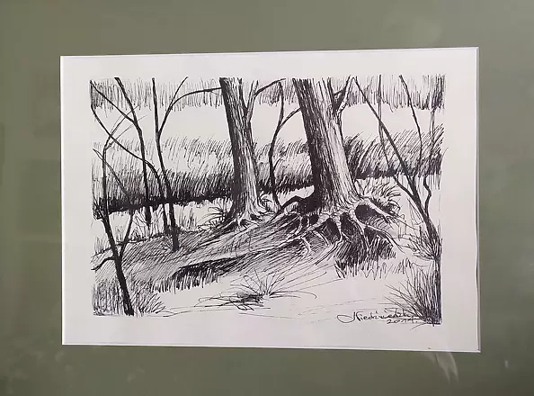 Ryszard Niedźwiedzki - Leśna impresja 2