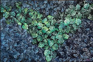 Dariusz Żejmo - Forest therapy