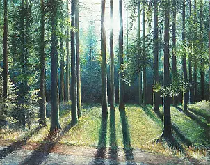 Jacek Siedlec - forest shadows