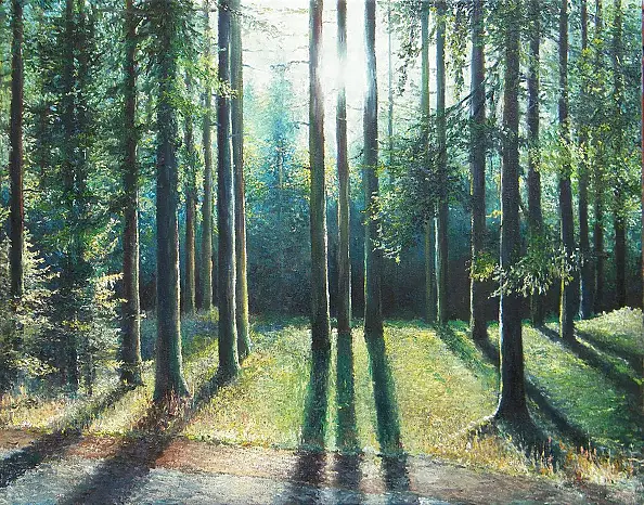 Jacek Siedlec - forest shadows