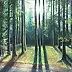 Jacek Siedlec - ombres de la forêt