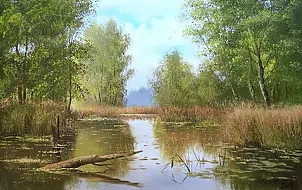 Marek Szczepaniak - Leśne mokradła