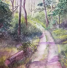 Krzysztof Marek - Forest track