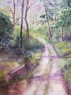 Krzysztof Marek - Forest track