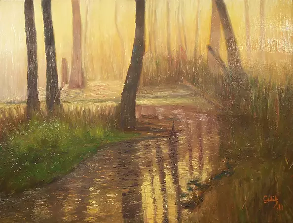 Hasan Celik - Forest morning II