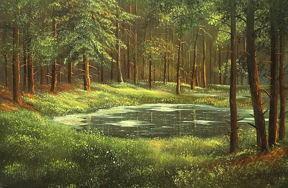 Marek Szczepaniak - Forest pond