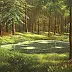Marek Szczepaniak - Forest pond