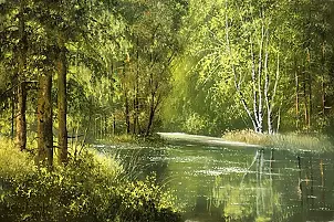 Marek Szczepaniak - Leśny staw