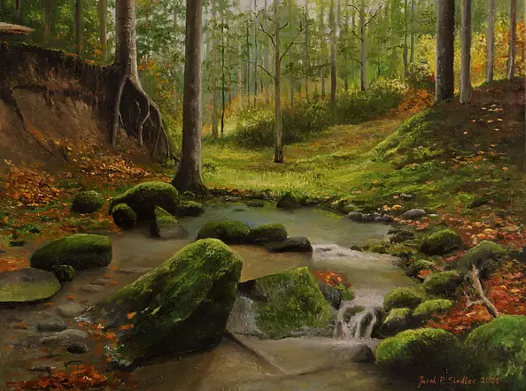 Jacek Siedlec - Forest stream