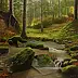 Jacek Siedlec - Forest stream