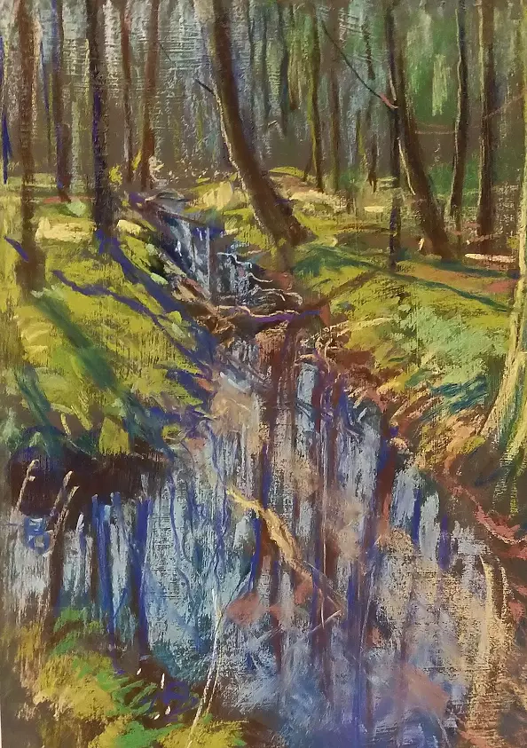 Zbigniew Starczewski - Leśny strumyk