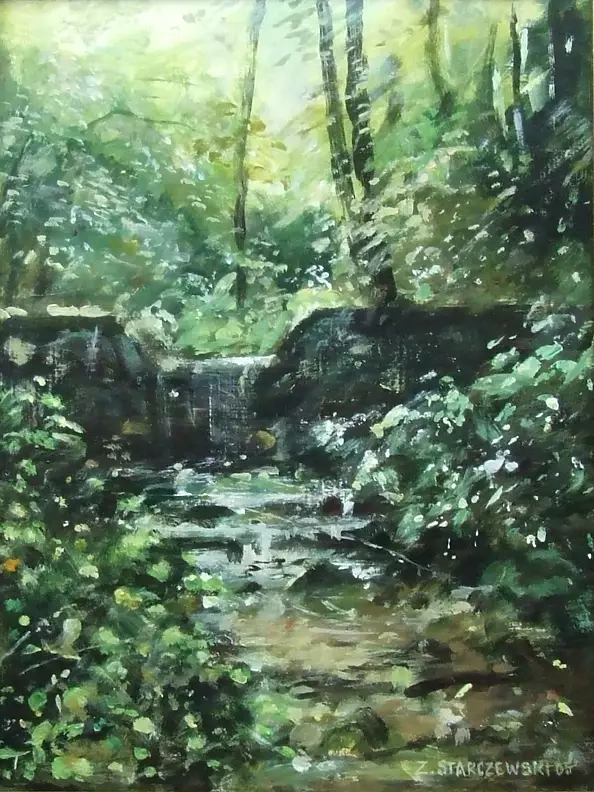 Zbigniew Starczewski - forest brook