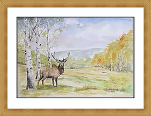 Rudolf Zmełty - summer Jelen