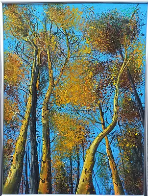 Anna Grudkowska - Lying on the forest litter