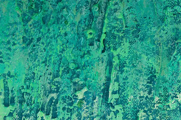 Pamela Rys - Life Energy