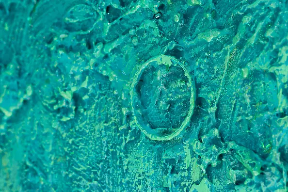 Pamela Rys - Life Energy