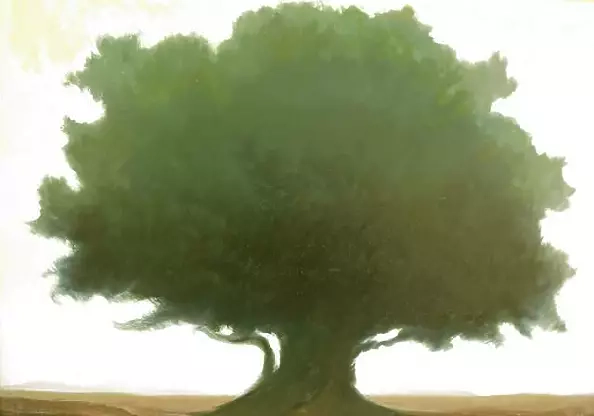 Salvatore Fratantonio - as portrait