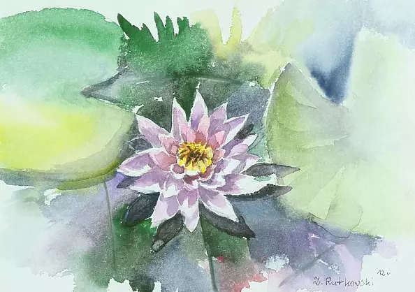 Zdzisław Rutkowski - Water Lily 2