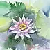 Zdzisław Rutkowski - Water Lily 2
