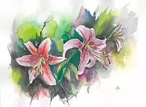 Zdzisław Rutkowski - Lilie 