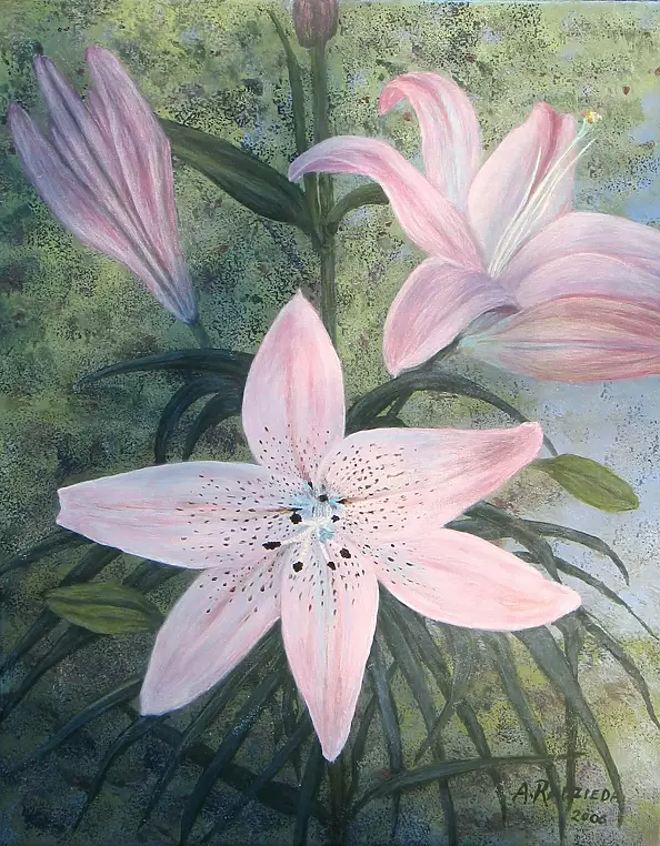 Antonina Radzięda - Lilie