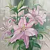 Luba Santkiewicz - Lilies