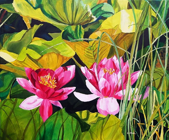 Ewa Słodzińska - Water lilies, Water Lilies, oil painting 100/120 cm