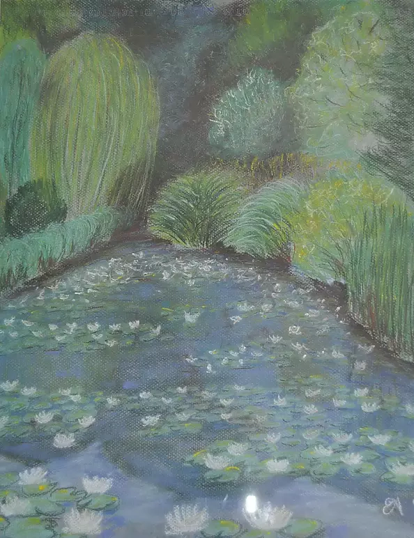 Aleksandra Gaweł Krajska - Water lilies
