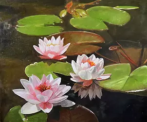   - Water lilies