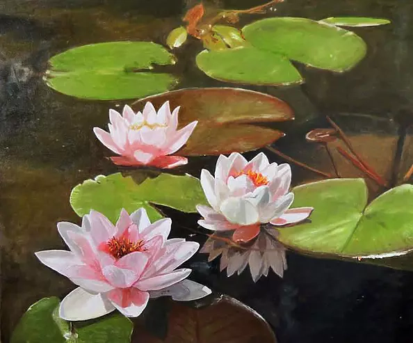 Tomasz Mrowiński - Water lilies