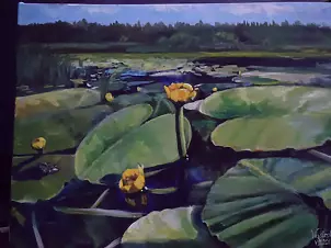   - Water lilies with a frog