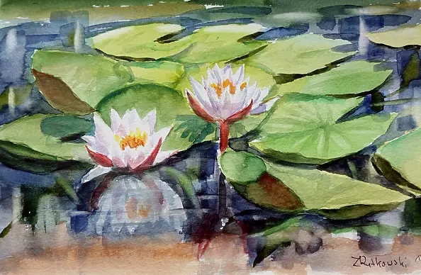 Zdzisław Rutkowski - Lilie wodne