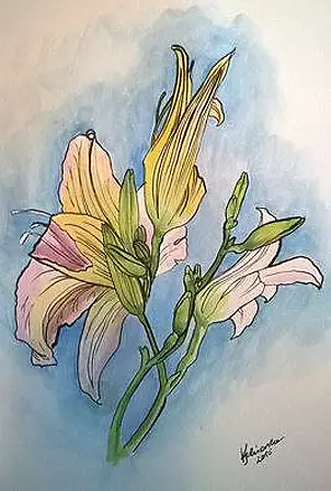 Dorota Kędzierska - Liliaceae II