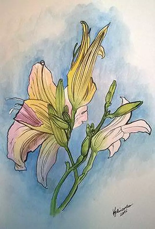 Dorota Kędzierska - Liliaceae II