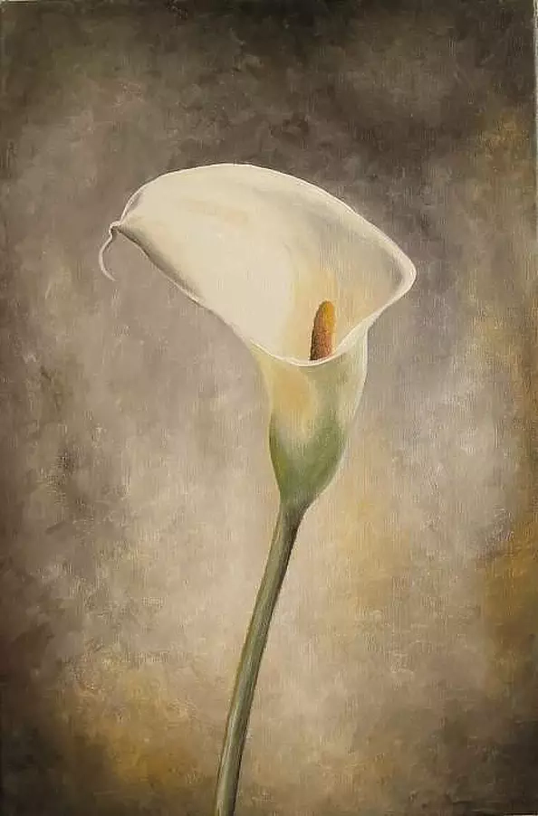 Ewa Gawlik - Kalia 2