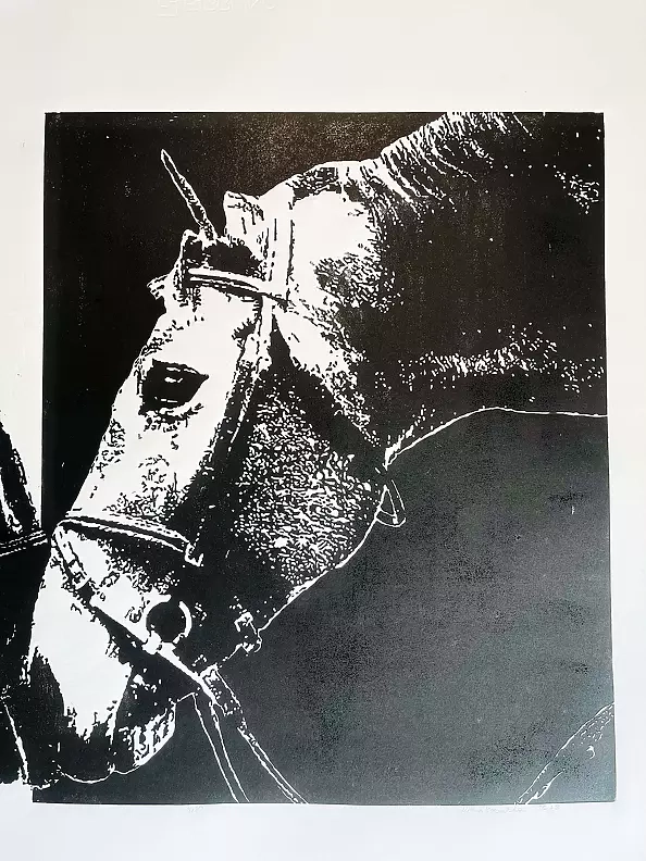 Milena Kowalska - Linoryt "Dark and Light"