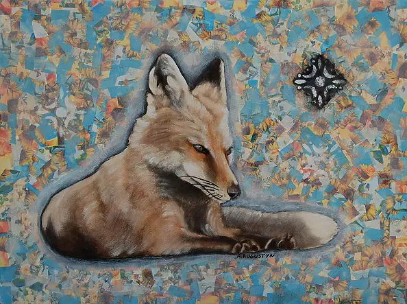 Amelia Augustyn - fox