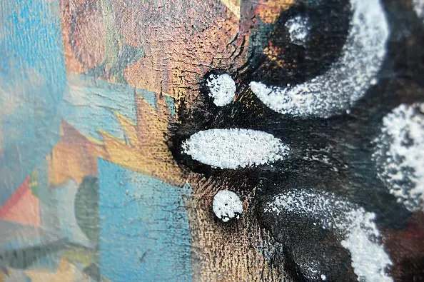 Amelia Augustyn - fox