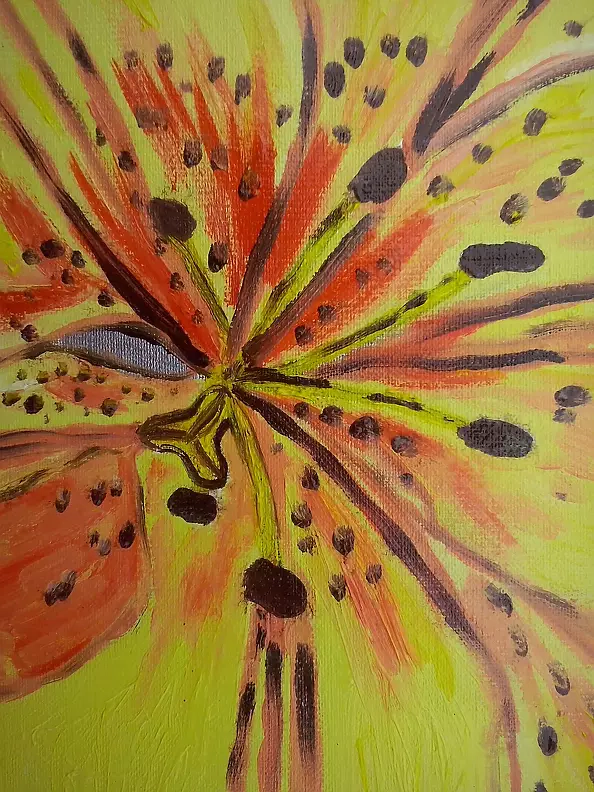 Sylwia Radczuk - Lis