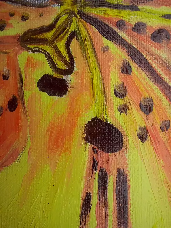 Sylwia Radczuk - Lis