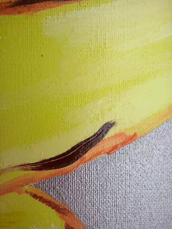 Sylwia Radczuk - Lis