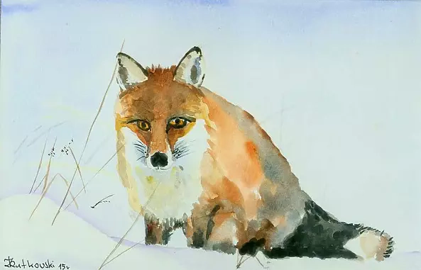 Zdzisław Rutkowski - Fox
