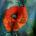 Zdzisław Rutkowski - poppy