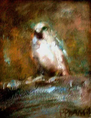 Piotr Pilawa - Ptaszek 1