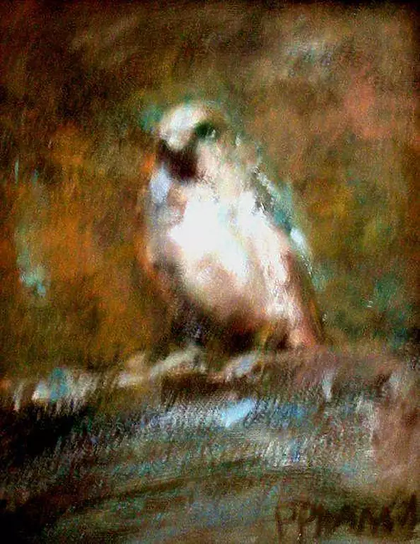 Piotr Pilawa - bird 1