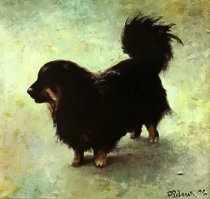 Piotr Pilawa - Little dog